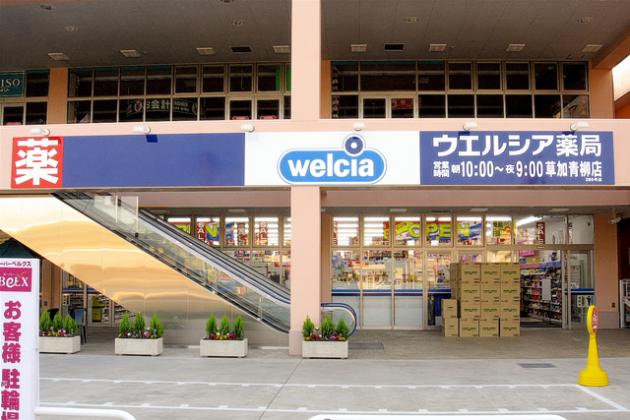 オークスプラザ越谷Ⅱ 周辺画像10