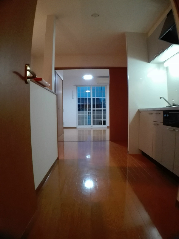 アン セドール その他13