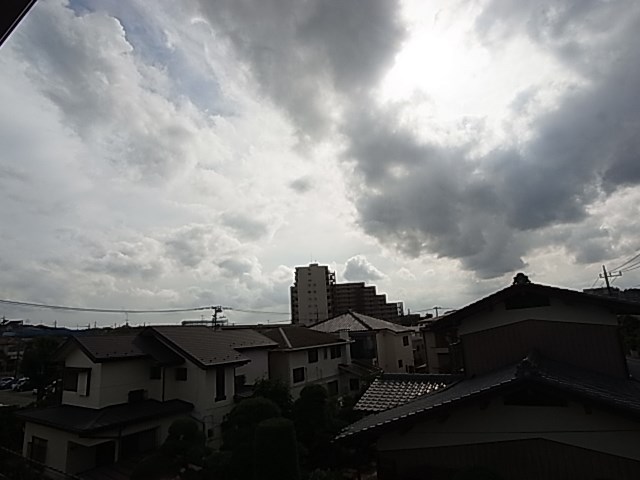 Pinofiore　Cielo その他7
