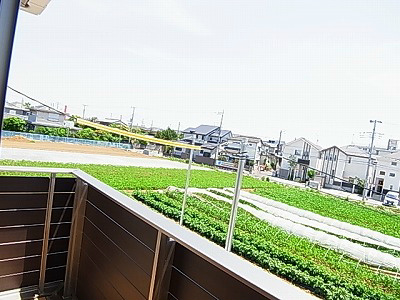 プリマヴェーラ（栄町西戸建） その他8