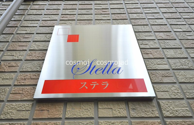 ステラ その他