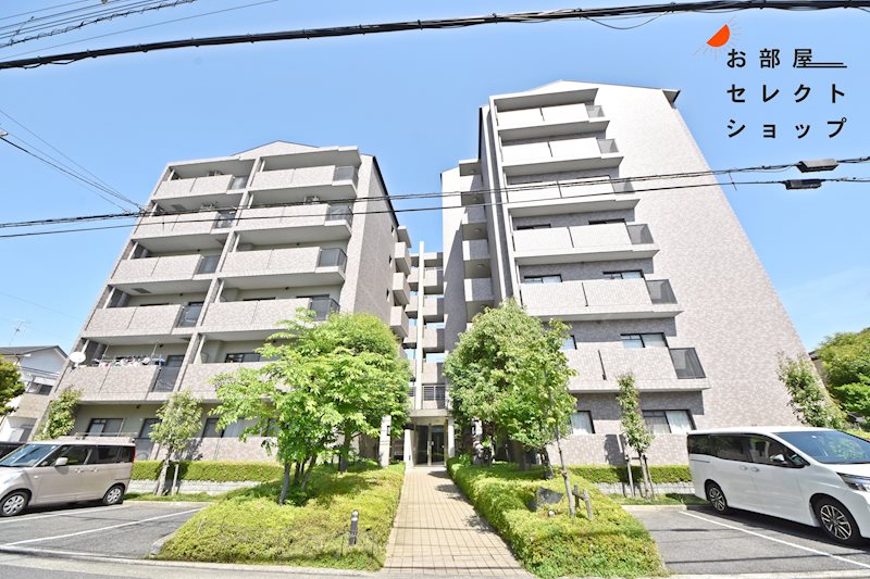 エオリアンハープ 外観