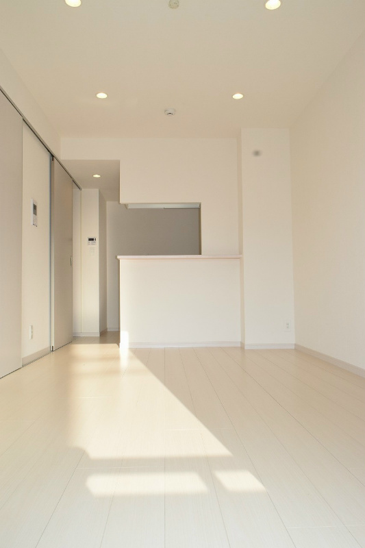 リブリ・南湖 リビング