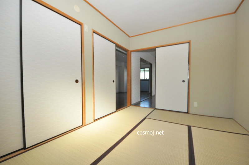 ココ川崎 収納
