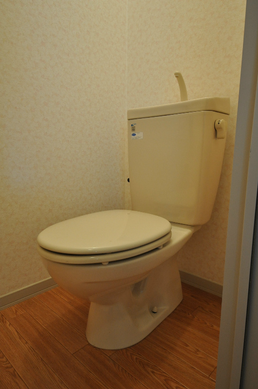 新栄プロパティー恩智　Ⅲ(パークハイツたつみⅡ） トイレ