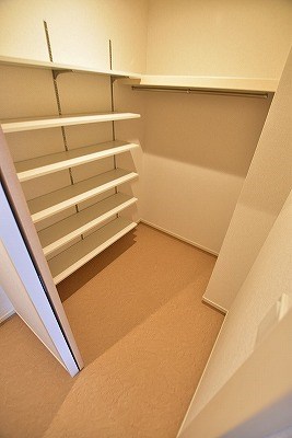 エヴァーグリーンQ その他9