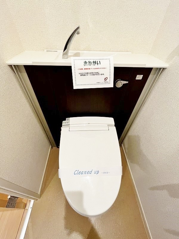 エヴァーグリーンQ その他19