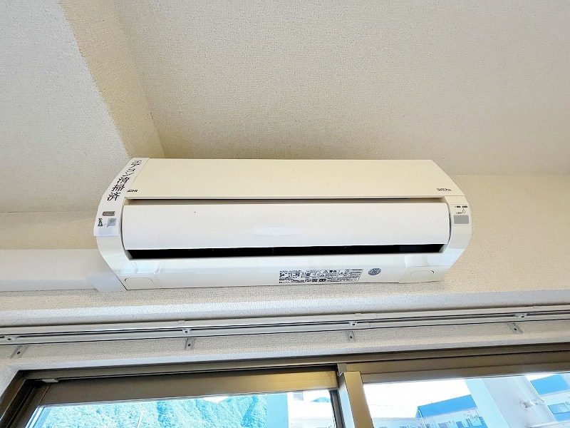 エヴァーグリーンQ その他35