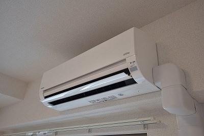 エヴァーグリーンQ その他24