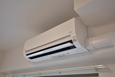 エヴァーグリーンQ その他27