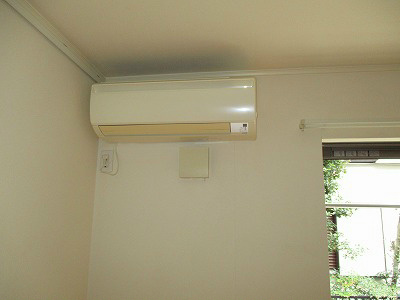 オリーブ その他1