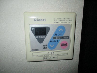 オリーブ その他2