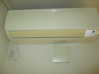 オリーブ その他4