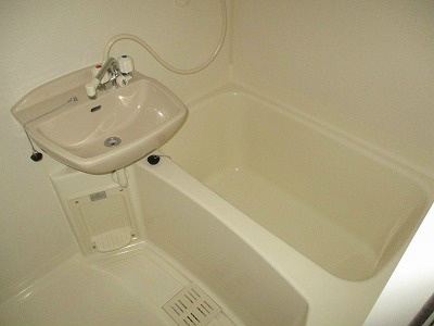 オリーブ その他5