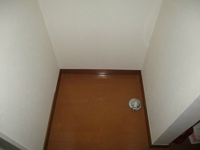 オリーブ その他6