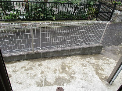 オリーブ ベランダ