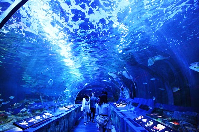 キャッスルマンション大森Ａ号館 周辺画像2