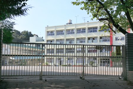 東急ドエルアルス長津田 周辺画像8