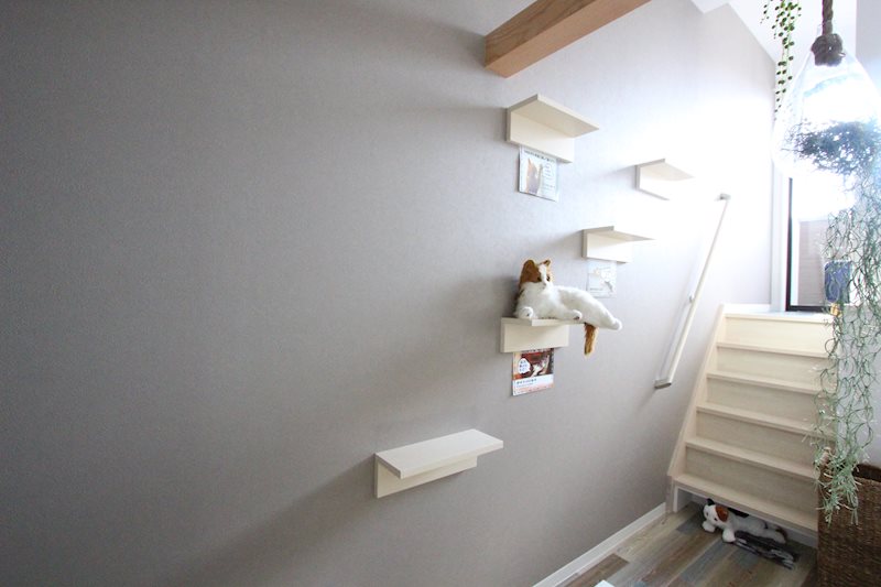 aruka009(ネコ共生型住宅) その他5