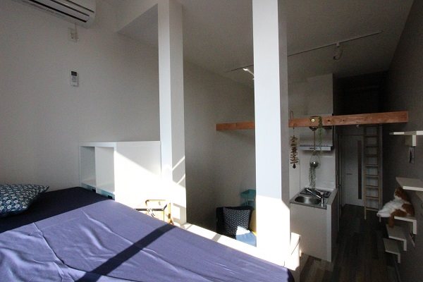 aruka009(ネコ共生型住宅) その他7