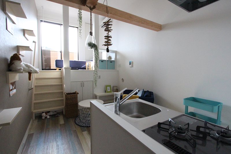 aruka009(ネコ共生型住宅) リビング