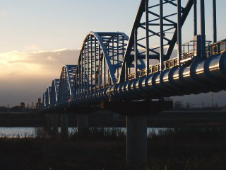 グリーンガーデン その他16