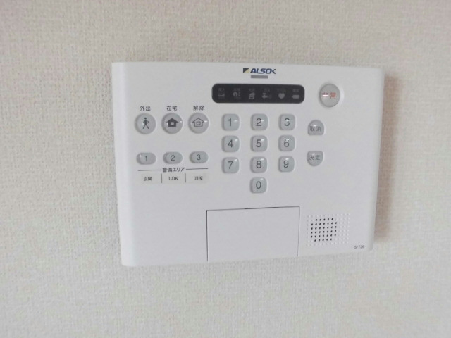 楓 セキュリティ