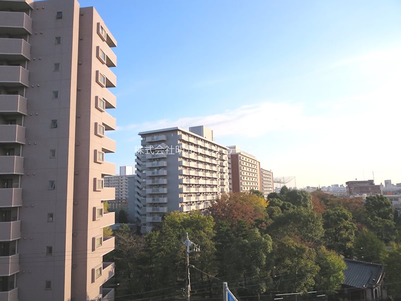 ｼﾝｼｱ大森本町 その他6