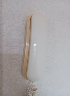 ルミエール伴丈木 その他4