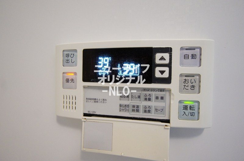 ヴェルドミール その他