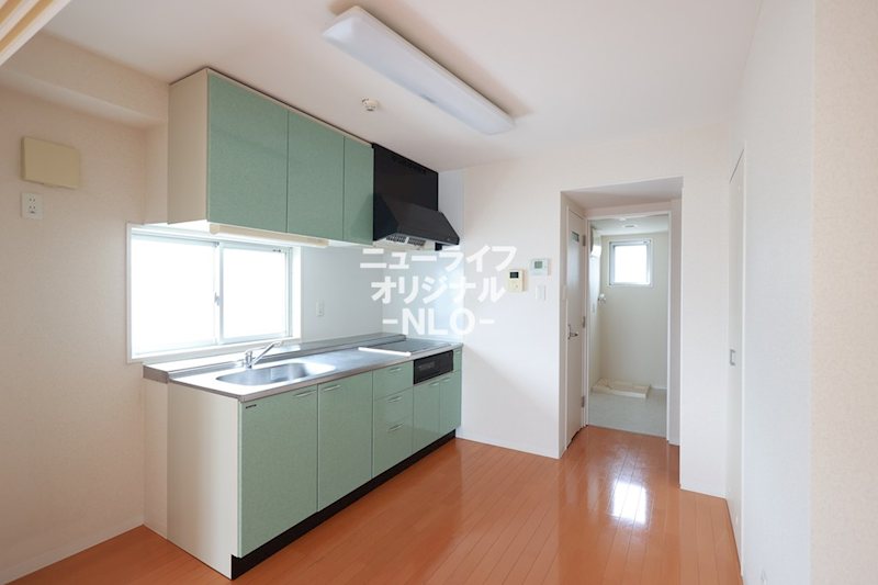 Ｎ２４６　Ｂ．Ｌ．Ｄ その他