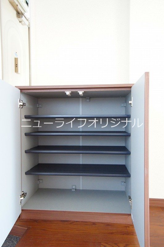 パンプキン その他
