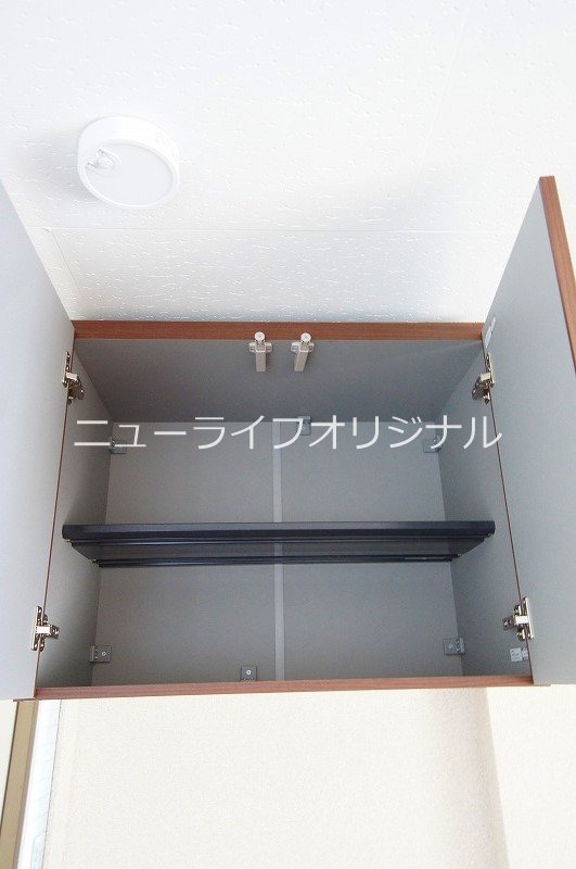 パンプキン その他