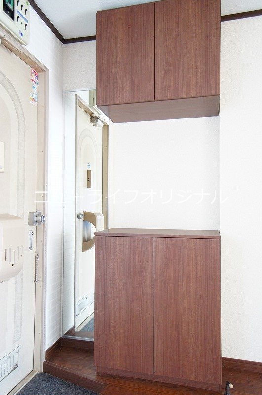 パンプキン その他