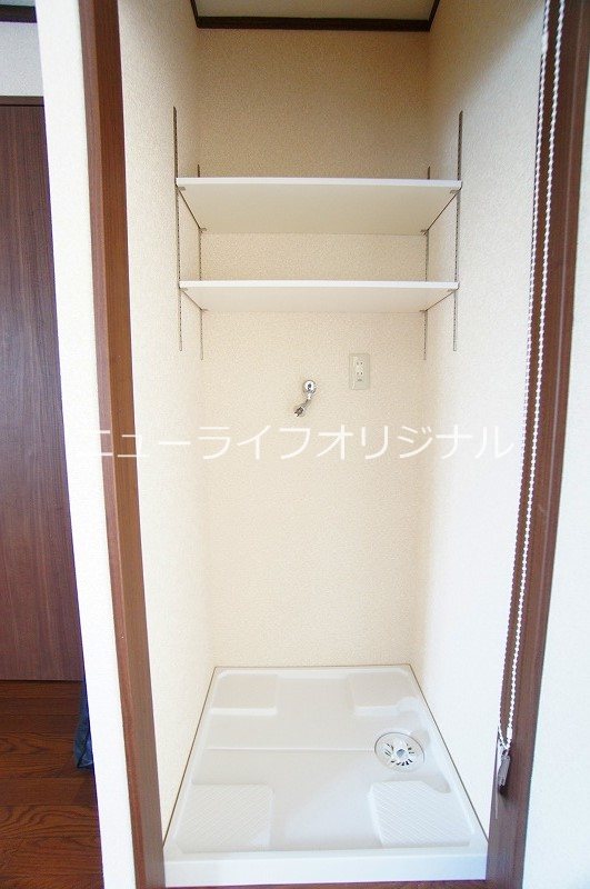 パンプキン その他