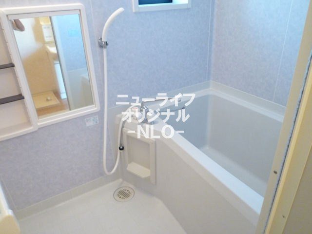 シャトミナール その他