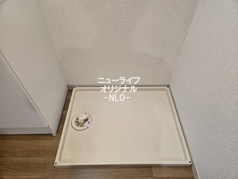 シャトミナール その他