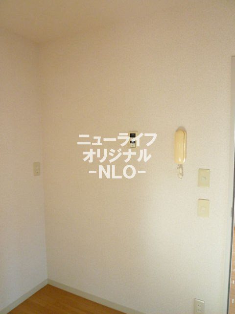 シャトミナール その他