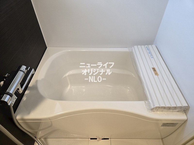 シャトミナール その他
