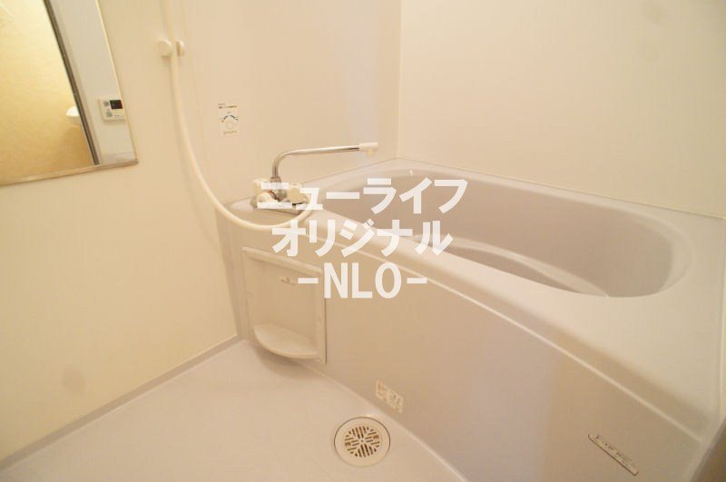 ミニヨン その他