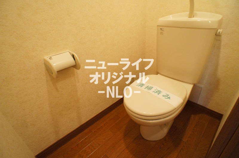 ミニヨン その他