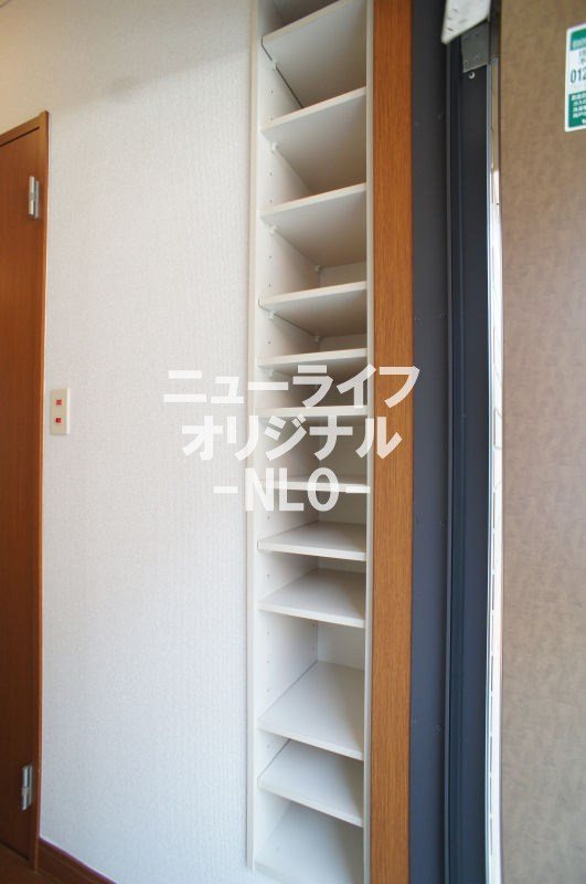 ミニヨン その他