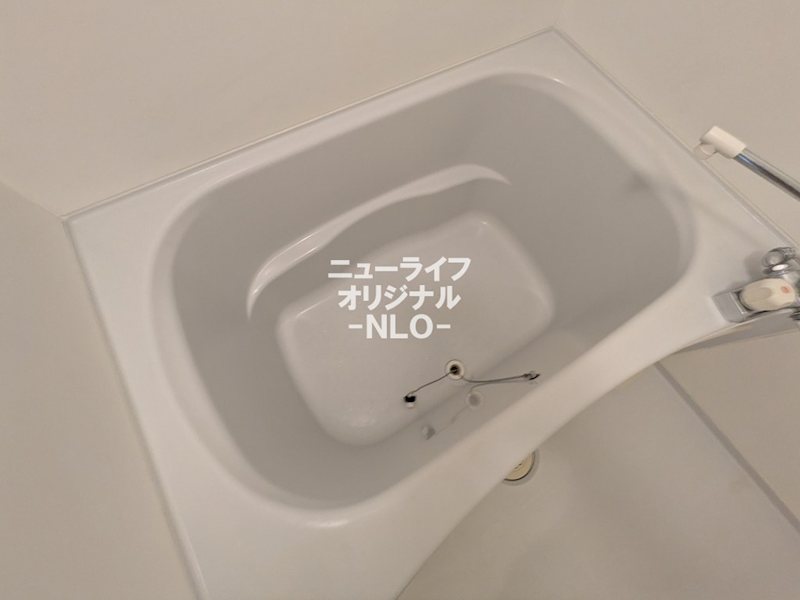 エヴァーグリーン・フロレスタ その他