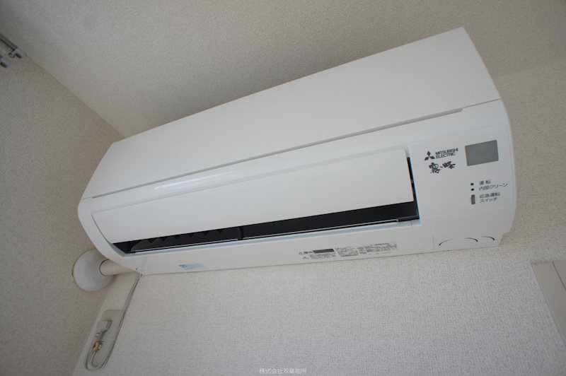 ラプラスいずみ その他