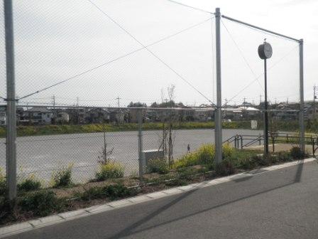 メゾンシンタク 周辺画像2