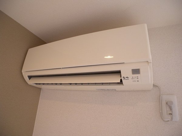 ボナールB　 その他3