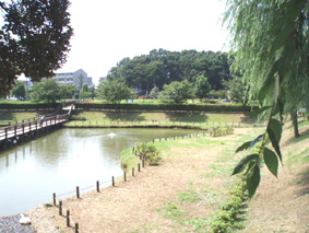 ロータスガーデン 周辺画像7