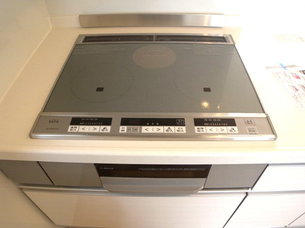 アイアンロマネスク向原台B その他1