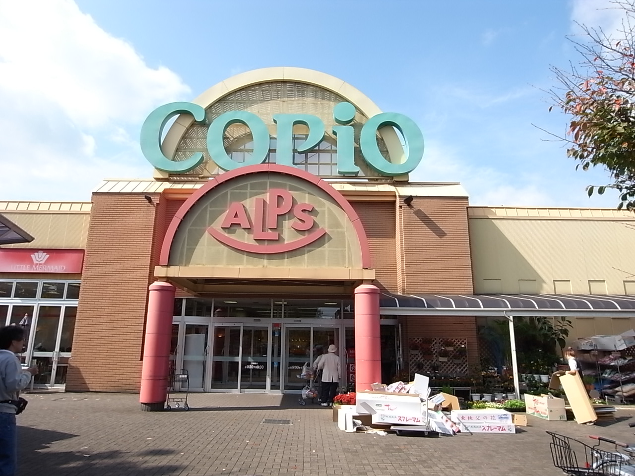 グッティ・ハイツ 周辺画像9