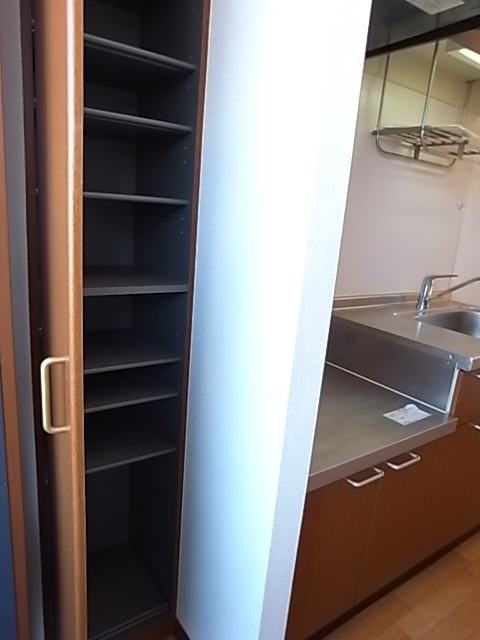 スカイヴュー 玄関